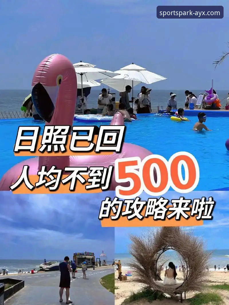 爱游戏体育APP对比 5个维度深度解读:爱游戏体育APP对比分析,新手必看指南